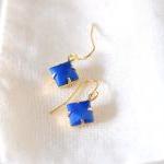 Blue Diamond Dangle Earrings